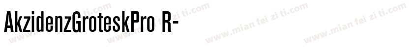 AkzidenzGroteskPro R字体转换